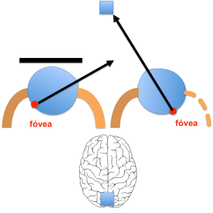 desviacion secundaria 2