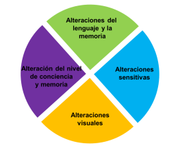 Representación esquemática del tálamo núcleos y función